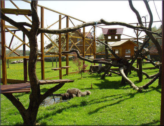 arbre a chat pour l'exterieur